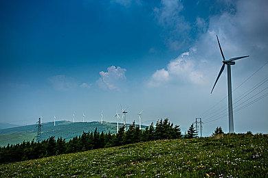 奇葩冒险游戏《关于精灵》现已登陆任天堂Switch